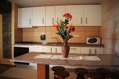 a kitchen with a table with a vase with flowers on it at Raposeira Chloe T2 in Fajã da Ovelha