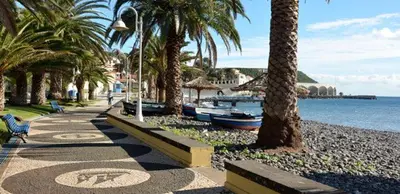 a sidewalk with palm trees and a beach with boats at The Pallet - Guest House in Santa Cruz