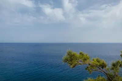 a view of the ocean from a tree at Lobos Bay-Apartment With Unique Sea Views in Câmara de Lobos