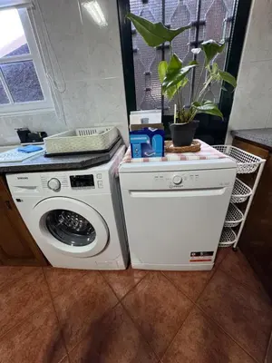 a washer and dryer in a kitchen with a plant at Ponta do Sol Villa in Ponta do Sol
