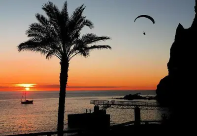 a palm tree and a boat in the ocean at sunset at Sunset Sea Breeze in Madalena do Mar