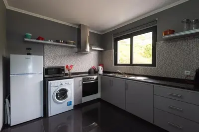 a kitchen with a white refrigerator and a dishwasher at Casa do Louro in Arco da Calheta