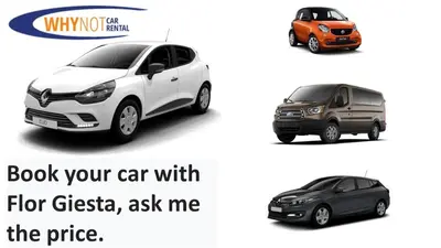 a comparison of a white car and a black car at Giesta Flower by Madeira Holiday Rentals in Ribeira Brava