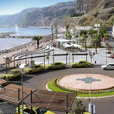 Giesta Flower by Madeira Holiday Rentals