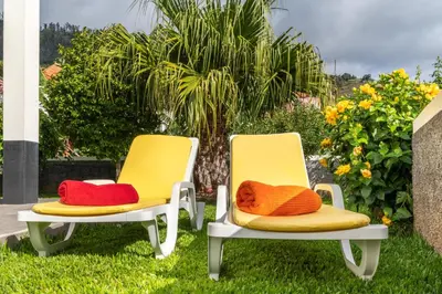 two yellow and red chairs sitting in the grass at Casa Ventura in Arco da Calheta