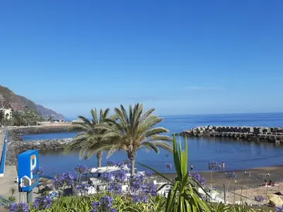 a beach with palm trees and a body of water at Casa Ventura in Arco da Calheta