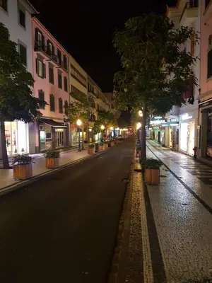 an empty street at night with trees and buildings at Old City Apartment in Funchal