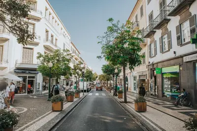 a street in a city with buildings and trees at Old City Apartment in Funchal