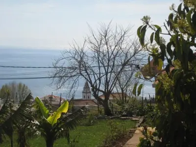 Gallery image of Little Norway in Madeira in Arco da Calheta