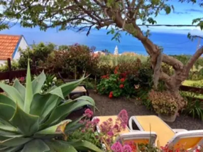 Gallery image of Little Norway in Madeira in Arco da Calheta