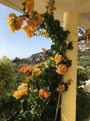 a cross made out of flowers on a column at Apartamento do Sol in Arco da Calheta