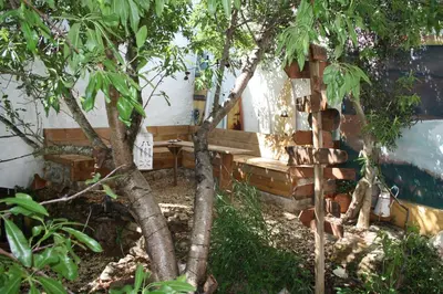 a bird house with a tree in front of it at Hostel on the Hill in Raposeira