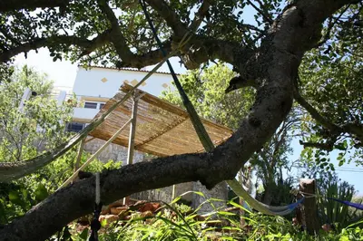 a hammock in a tree with a house in the background at Hostel on the Hill in Raposeira