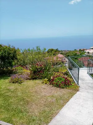 a garden with flowers on the side of a sidewalk at Vista Romantica Madeira in Arco da Calheta