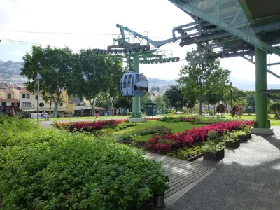a park with flowers and a ski lift at Shearwaternest 2 Apartment in Funchal