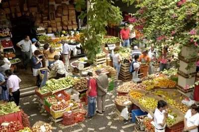 a group of people in a market with fruits and vegetables at Charming Apartments in Funchal - São Gonçalo in Funchal