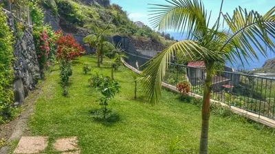 a garden with palm trees and flowers on a hill at Quinta Terezinha in Ribeira Brava
