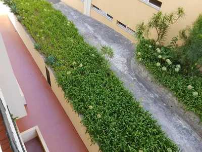 a row of plants on the side of a building at Vila Régia in Funchal