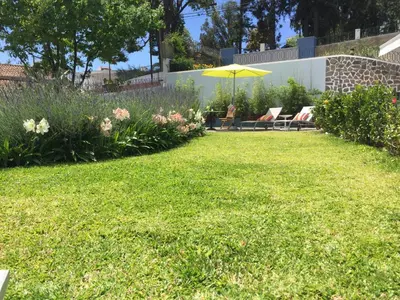 a lawn with two chairs and an umbrella in a yard at Belvedere Boutique - Adults only in Funchal