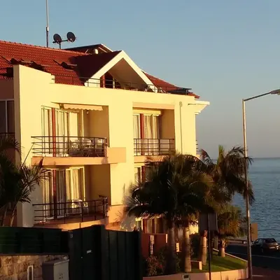 a white building with palm trees in front of the ocean at Apartamento Vai Vem in Madalena do Mar