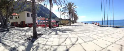a beach with palm trees and a building and the ocean at Apartamento Vai Vem in Madalena do Mar