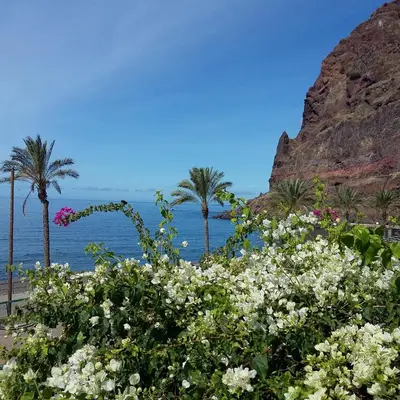 a view of the ocean with palm trees and flowers at Apartamento Vai Vem in Madalena do Mar