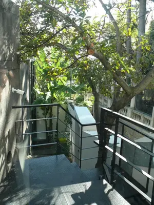 a balcony with a tree with oranges on it at The Loft Junction in Funchal