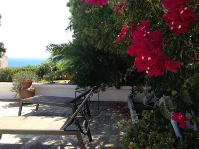 a table and bench in front of a bush with flowers at Great view to sea, villa with pool in Salema