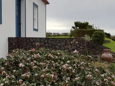 a stone wall with flowers in front of a house at Casa do Norte - Santa Maria in Norte