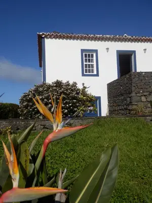a flower in front of a white house at Casa do Norte - Santa Maria in Norte