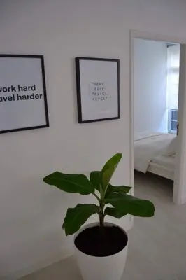 a potted plant in a room with a bedroom at Charming Apartment 101 in Funchal