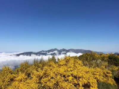 a view of a mountain with clouds in the background at Charming Apartment 101 in Funchal