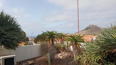 a group of palm trees on the side of a building at Casa Mansa in Porto Santo