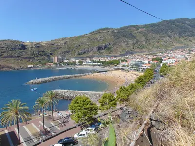 a view of a beach with palm trees and a city at Marques House in Machico