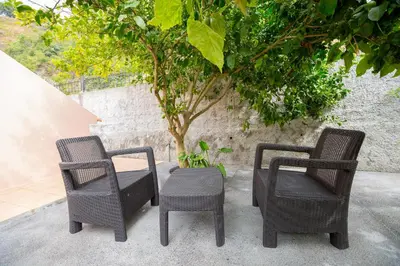 three wicker chairs and a table and a tree at Casa do Avo in Arco da Calheta