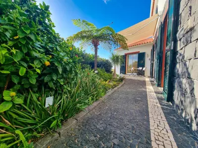 a walkway next to a building with a palm tree at Casa da Ladeira in Fajã da Ovelha
