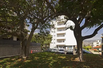 two trees in front of a white building at Apartamento Jasmineiro - By WeHost in Funchal