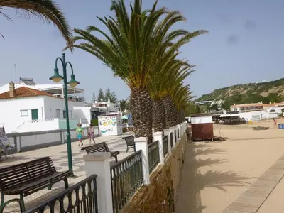 a beach with palm trees and a white fence at GUADALUPE 3 in Luz