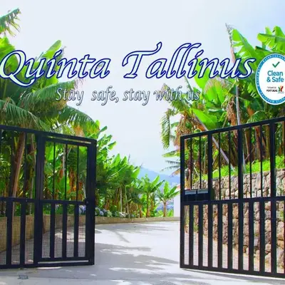 Quinta Tallinus
