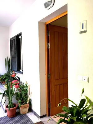 an open door of a house with potted plants at Apartamento do Avô Tomás in Madalena do Mar