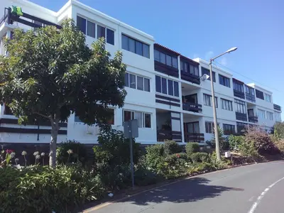 a white building with a tree in front of a street at Apartamentos Matur in Machico