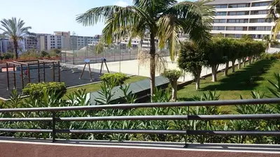 a park with palm trees and a tennis court at Palace II in Funchal
