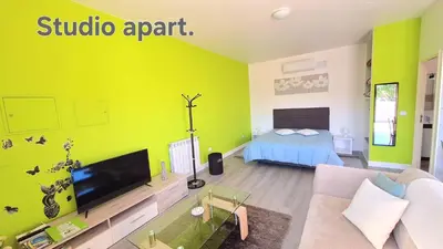 a living room with green walls and a tv and a bed at Discovery Apartment in Santana
