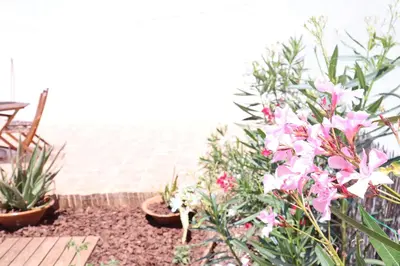 a group of flowers and plants on a patio at Salema Beach Private Villa in Salema