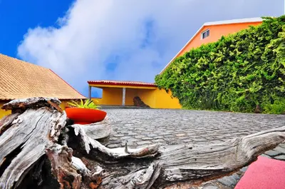 a tree branch laying on a sidewalk next to a house at Casa da Rocha in Calheta