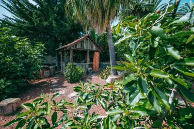 a small house with a palm tree in a garden at Casa Maravilha in Caniço