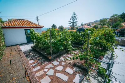 a garden with tomato plants in front of a building at Casa Maravilha in Caniço