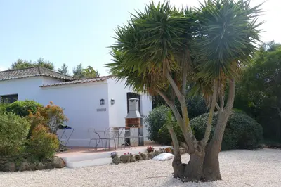 a palm tree in a yard next to a house at Quinta Falzina in Luz