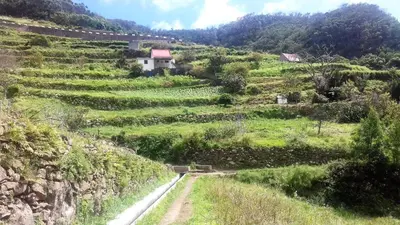 a winding road down a hill with a house on it at Vivenda Linda Vista in Porto da Cruz
