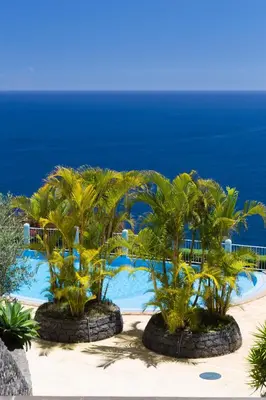 a resort with palm trees and the ocean in the background at Quinta Falesia Apartment in Funchal